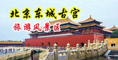 女生白虎视频在线观看中国北京-东城古宫旅游风景区